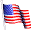 U.S.A. Flag
